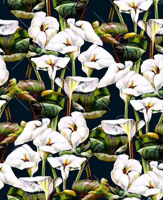 黑底花卉印花华亿平台图片