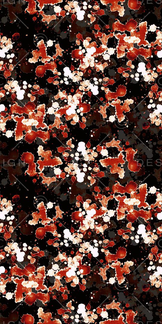 大牌风印花华亿平台图片