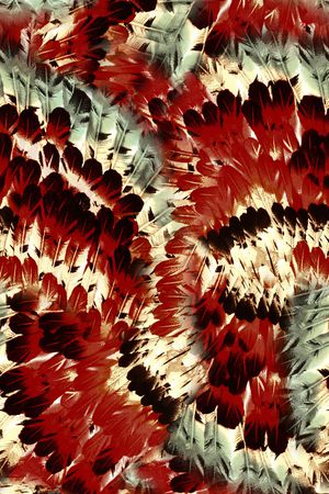 大牌风印花华亿平台图片