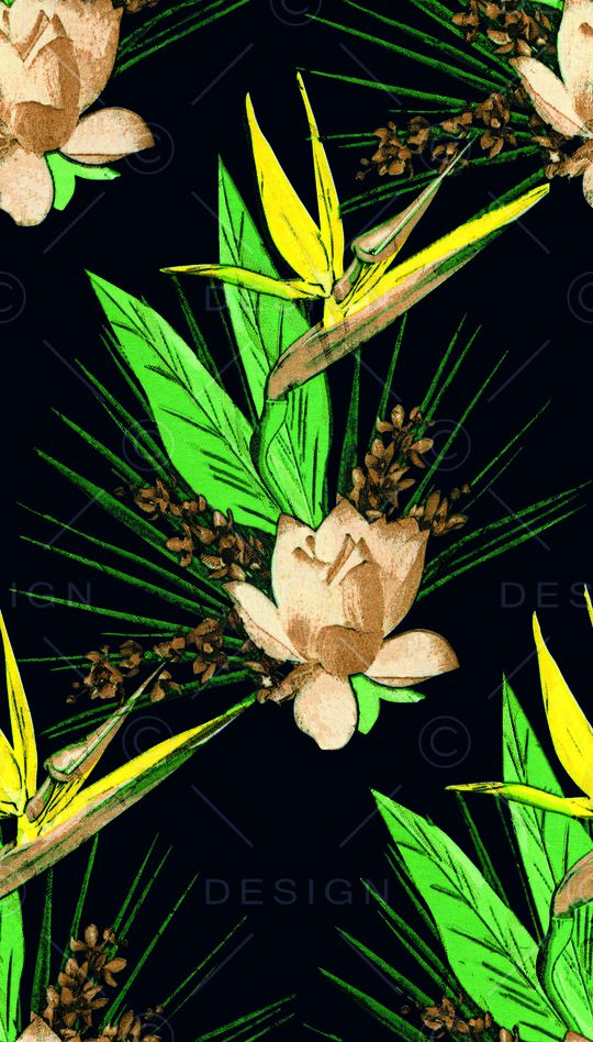 凤尾花印花华亿平台图片