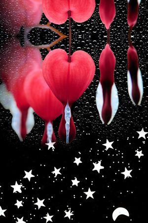 定位花印花华亿平台图片