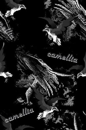 老鹰印花华亿平台图片