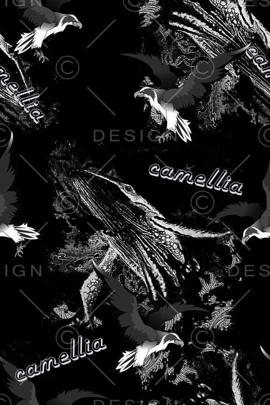 老鹰印花华亿平台图片