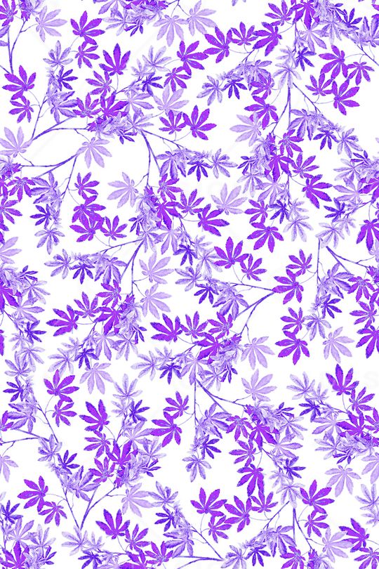 单色印花华亿平台图片