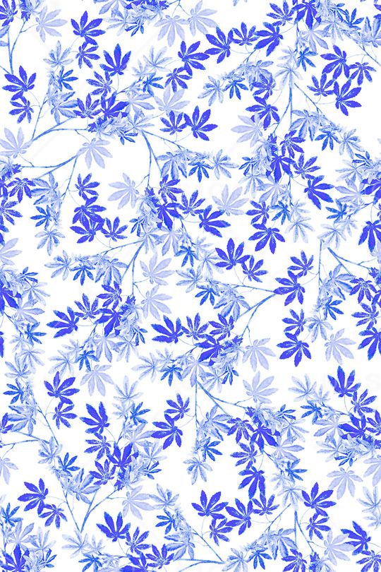 单色印花华亿平台图片