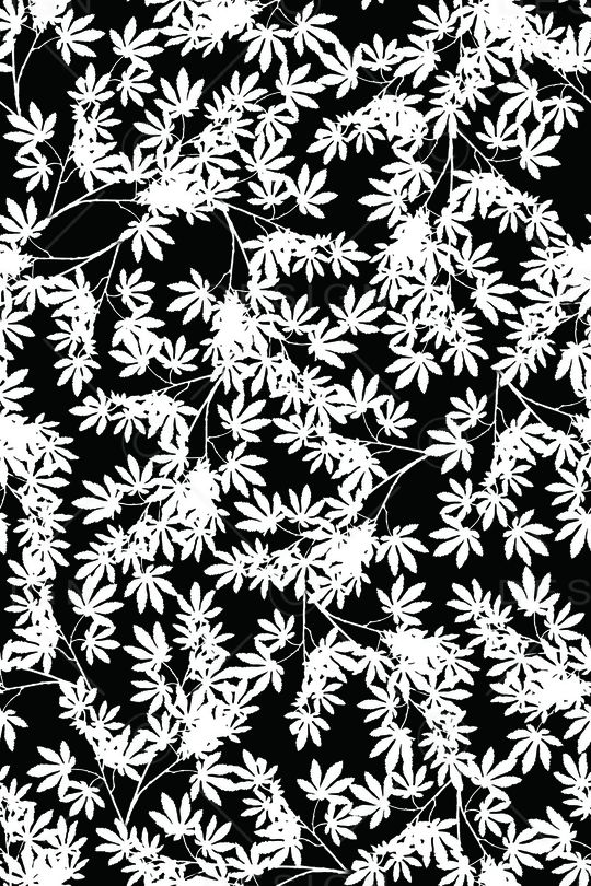 单色印花华亿平台图片