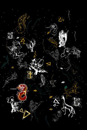 星空印花华亿平台图片