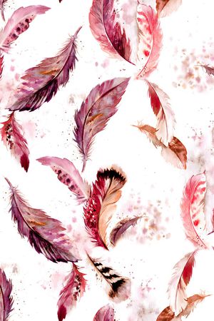 羽毛印花华亿平台图片