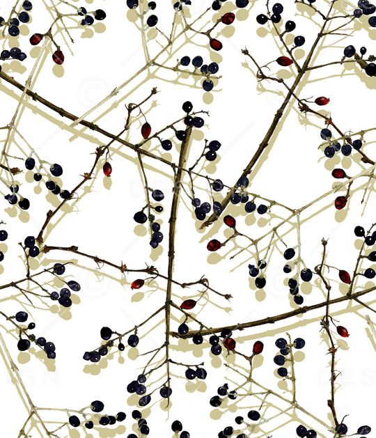 树枝印花华亿平台图片