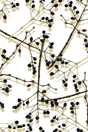 树枝印花华亿平台图片