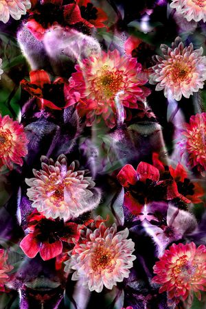 植物印花华亿平台图片