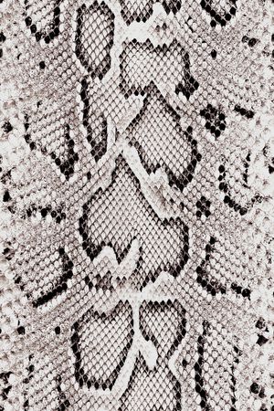 大牌风印花华亿平台图片