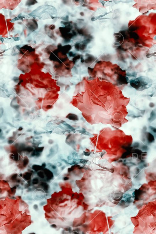 女装印花华亿平台图片