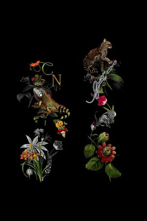 简欧印花华亿平台图片