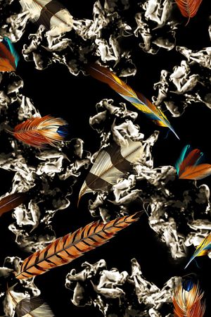 羽毛印花华亿平台图片