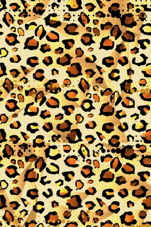 豹纹印花华亿平台图片