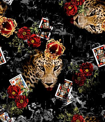 1133119-CSY-N00092-1