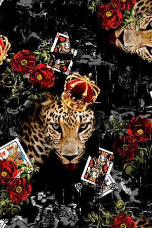 老虎印花华亿平台图片