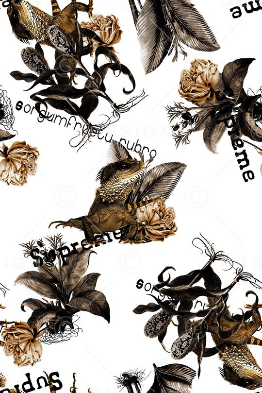 植物印花华亿平台图片