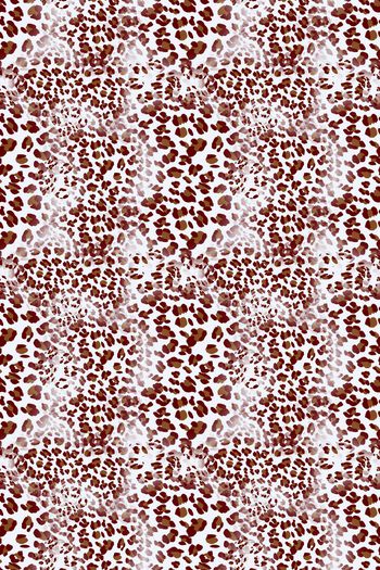 1133430-181102-动物纹-19-3