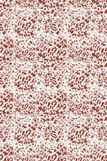 1133448-181102-动物纹-20-00