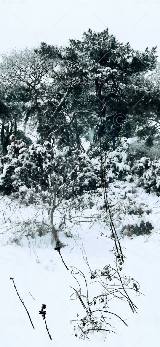 古镇印花华亿平台图片