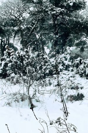 古镇印花华亿平台图片