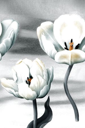 郁金香印花华亿平台图片