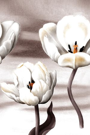 郁金香印花华亿平台图片