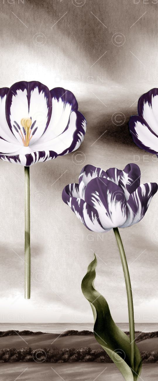 郁金香印花华亿平台图片