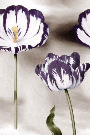 郁金香印花华亿平台图片