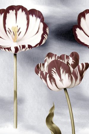 郁金香印花华亿平台图片