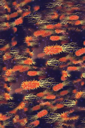 PRADA印花华亿平台图片