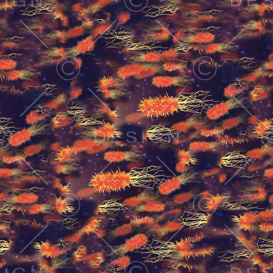 PRADA印花华亿平台图片