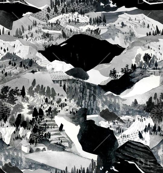 牡丹印花华亿平台图片