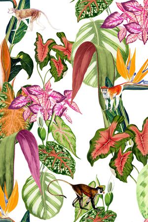 大牌风印花华亿平台图片