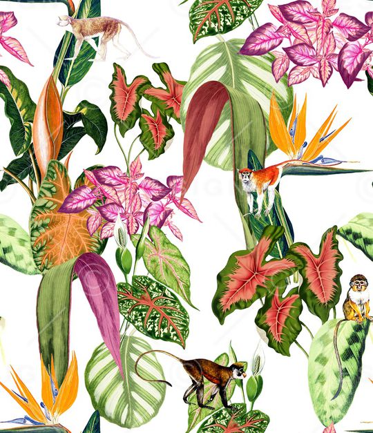 大牌风印花华亿平台图片