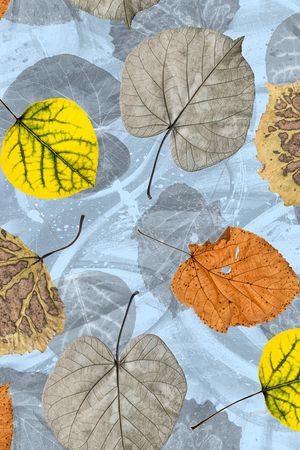 坯布印花华亿平台图片