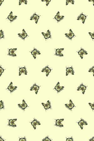 泳装印花华亿平台图片