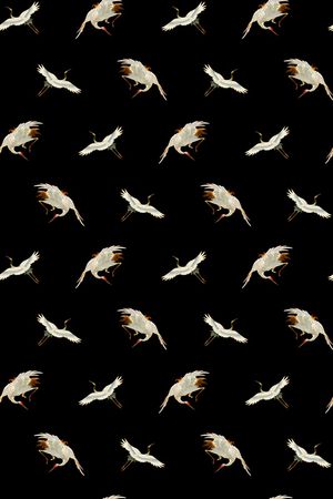 女装印花华亿平台图片