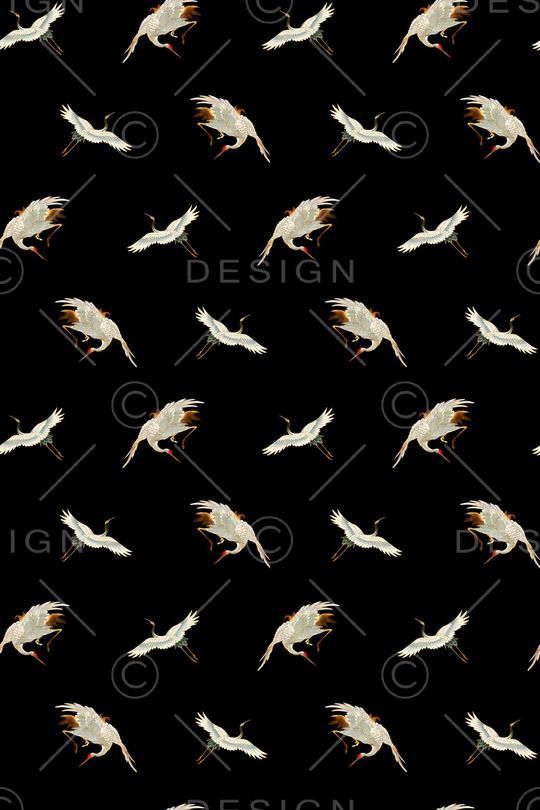 女装印花华亿平台图片