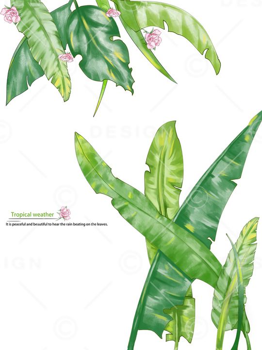 绿植树叶印花华亿平台图片