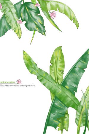 绿植树叶印花华亿平台图片