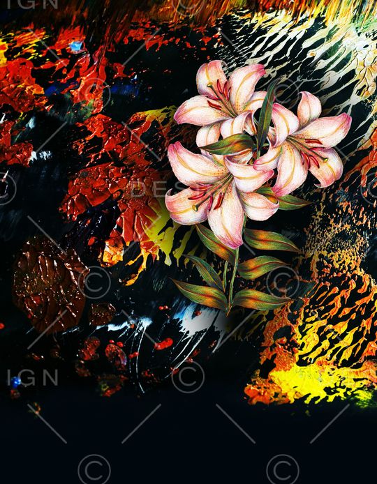 定位花印花华亿平台图片