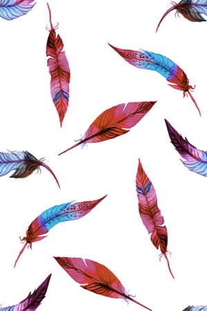 羽毛印花华亿平台图片