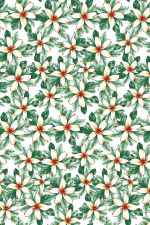 年轻女性印花华亿平台图片