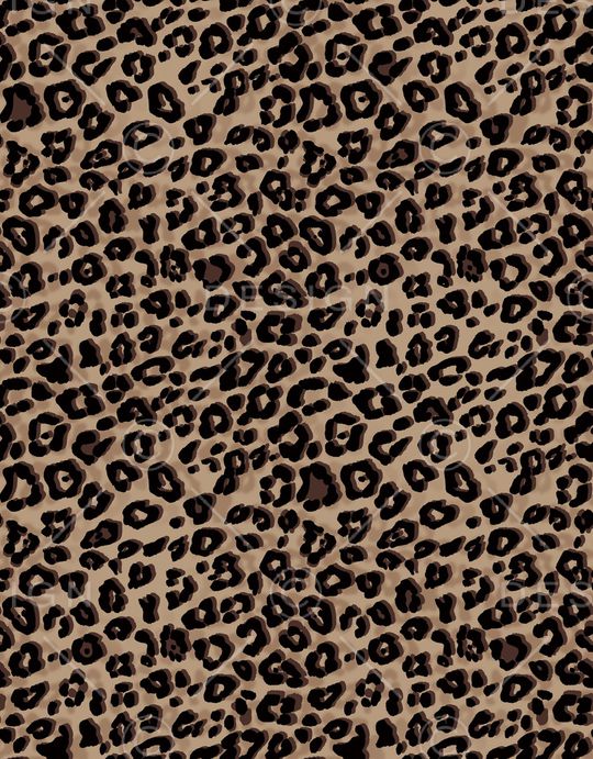 豹纹印花华亿平台图片