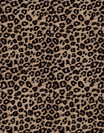 豹纹印花华亿平台图片