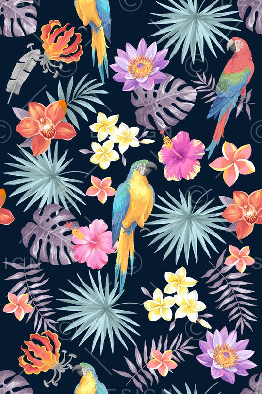 女装印花华亿平台图片