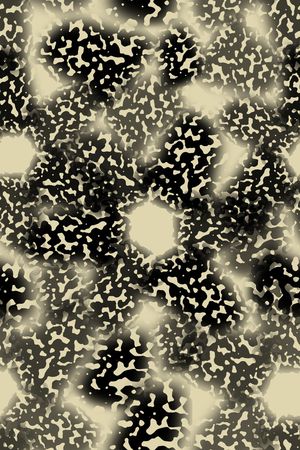 动物纹印花华亿平台图片